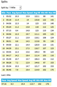 FitnessSyncer Item Analytics can show you your Split Times, including the 'last mile.'